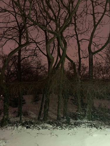 Monday Art Salon - Kapitel 90